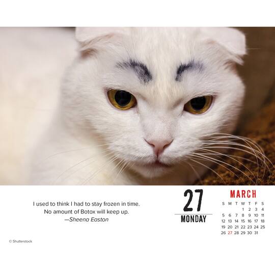 2023 Bad Kitties Box Calendar Michaels